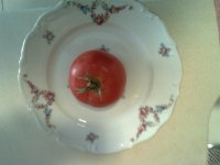 Tomato on a plate