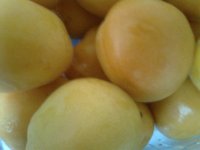 Apricots