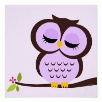 owl