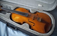 viola