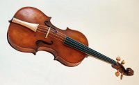 viola