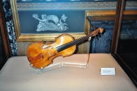 Violin