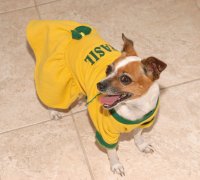 Susy
