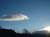 PAISAJE