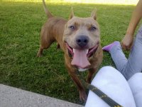 numa en la costanera sur