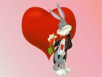 bunny