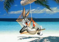 bunny en la playa