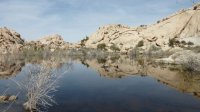Joshua Tree and Palms Springs