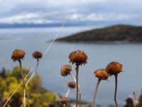isla del sol, bolivia