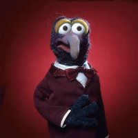 gonzo