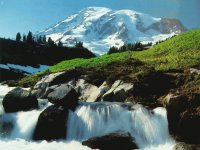 montania