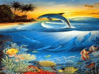 delfini