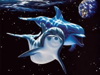 delfini