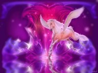 unicorno