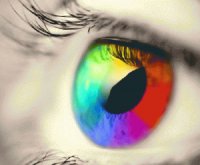 COLOR