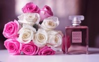 rosas para ty