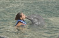 march dolphin