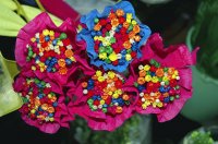 Flower Flowers
