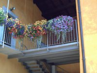 fiori
