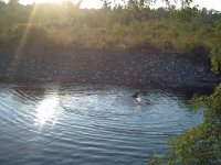 fiume