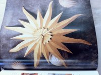 Sunburst