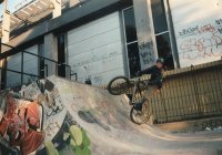 bicicleta, half