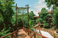En la Selva de Iryapú. Misiones. Argentina