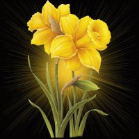 amarelo