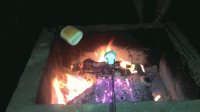 Marshmallows Roasting