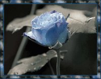 azul