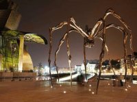 araña ..nice osc