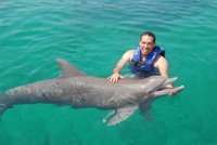 dolphin