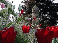 jardin