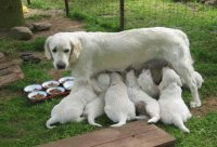 MAMA Y BEBE 13