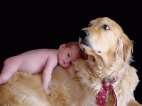 bebe y perro