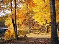 autunno