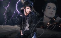 Adam Lambert Wallpapers :)