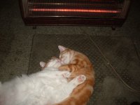 tiny and misty, always together, inseperable