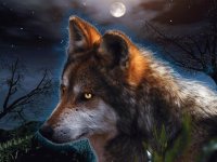 fantasy wolf art