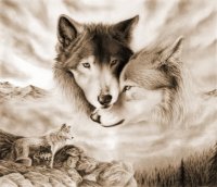 fantasy wolf art