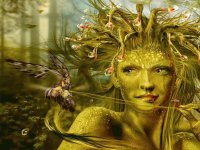Fadas, duendes e ninfas.
