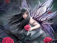 Fadas, duendes e ninfas.