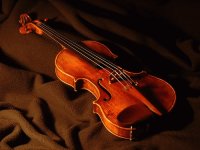 Violin