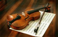 Violin