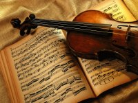 Violin