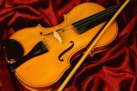 Violin