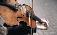 Violin