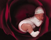 bambini