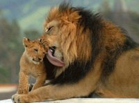 leon y cria