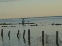 Tocantins